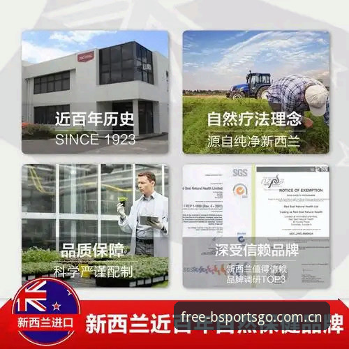 7个关键步骤掌握B体育iOS版使用指南，从下载到实战全解析